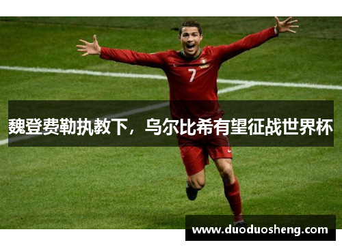 魏登费勒执教下，乌尔比希有望征战世界杯